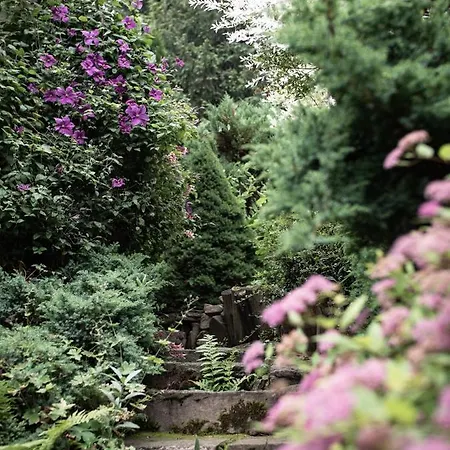 Apartman Tatraholiday - Pod Srebrzysta Sosna