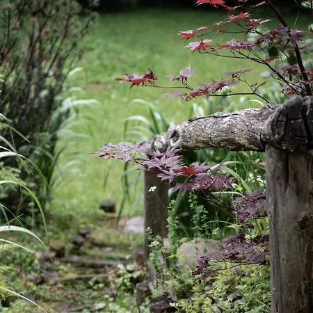 Apartman Tatraholiday - Pod Srebrzysta Sosna