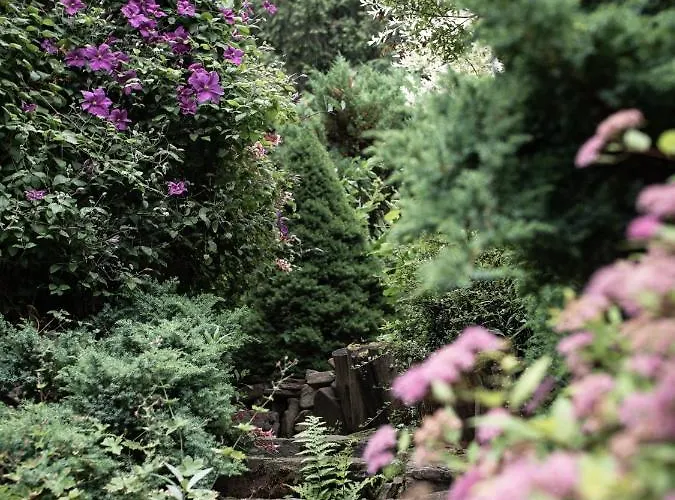 Apartamento Tatraholiday - Pod Srebrzysta Sosna