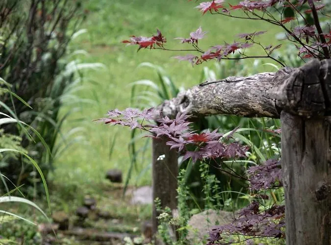 Apartamento Tatraholiday - Pod Srebrzysta Sosna